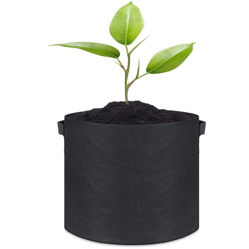 Bolsa de plantas