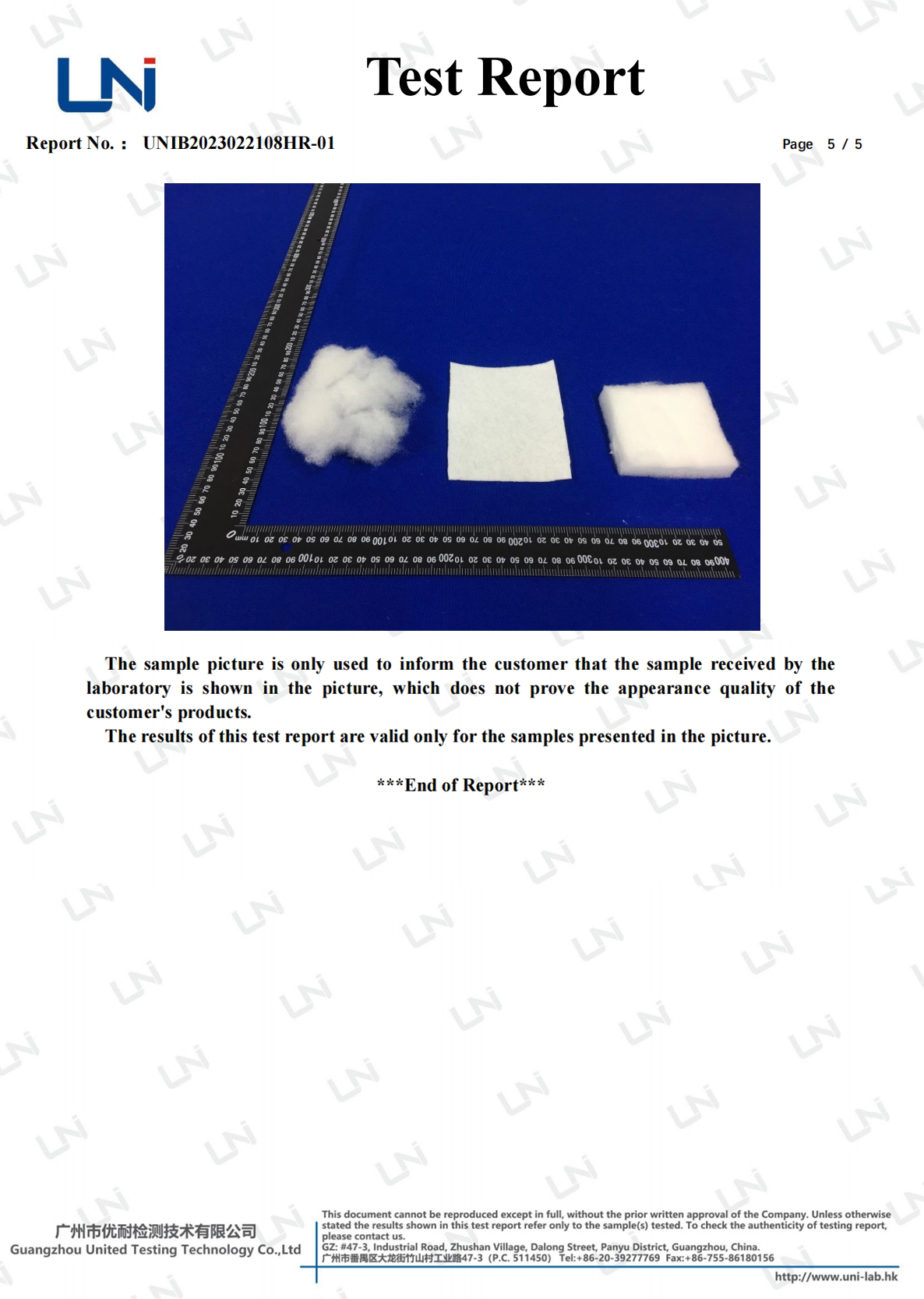 _20250221091149微信截图 _202502221091759