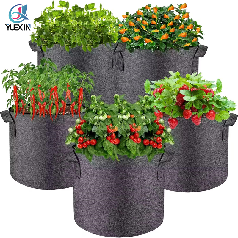Bolsa de plantas 01
