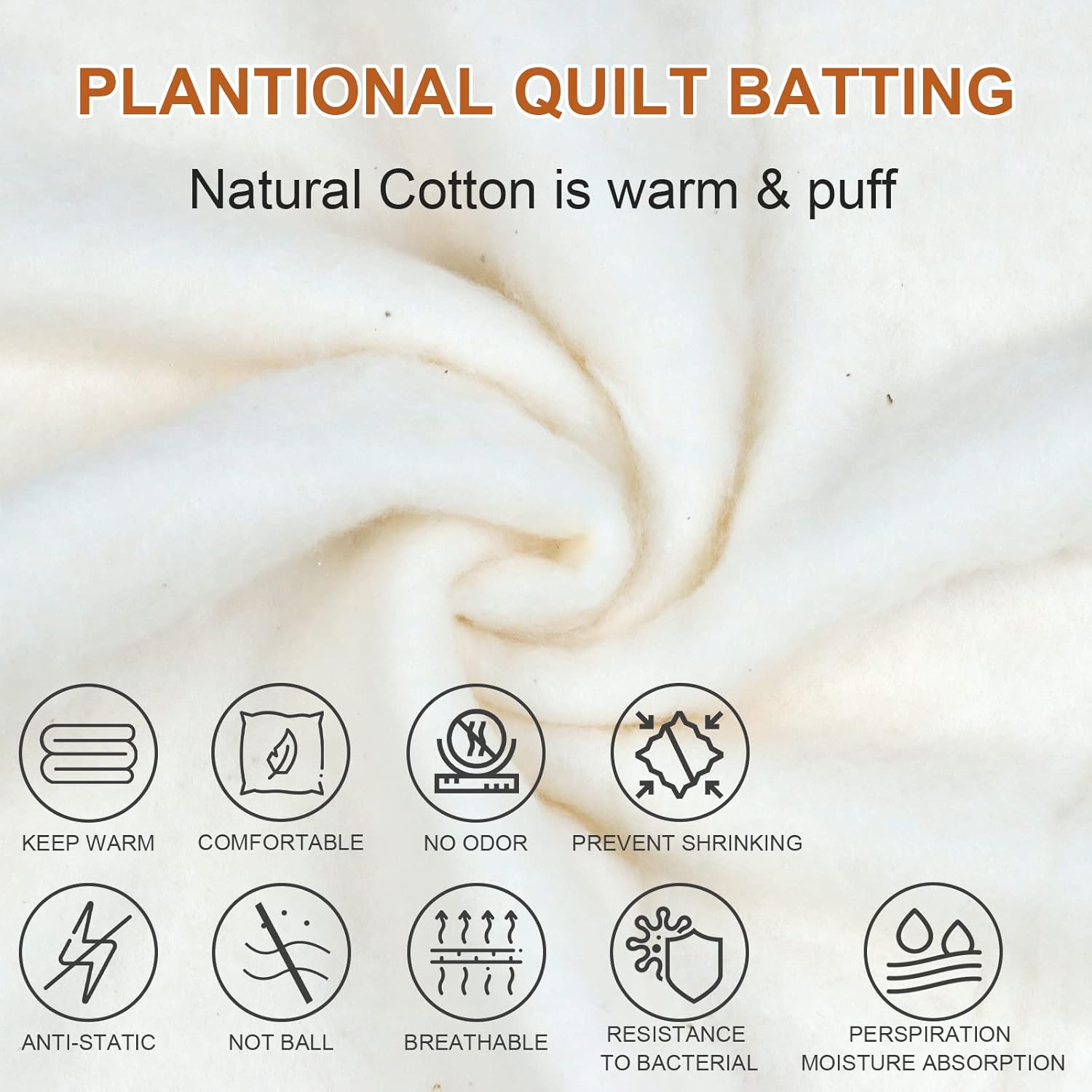 71G6Y4Al-PL._AC_SL1500_